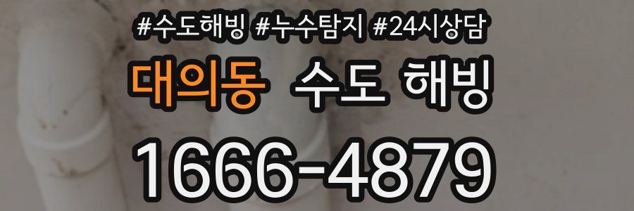 대의동 수도 해빙