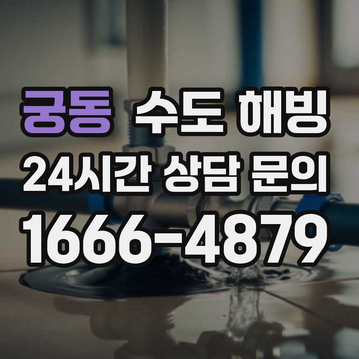 궁동 수도 해빙 한파 때 한 줄기만 남아도 방심하면 안 됩니다