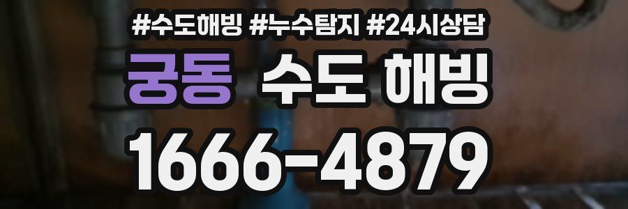 궁동 수도 해빙