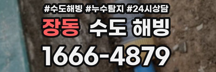 장동 수도 해빙