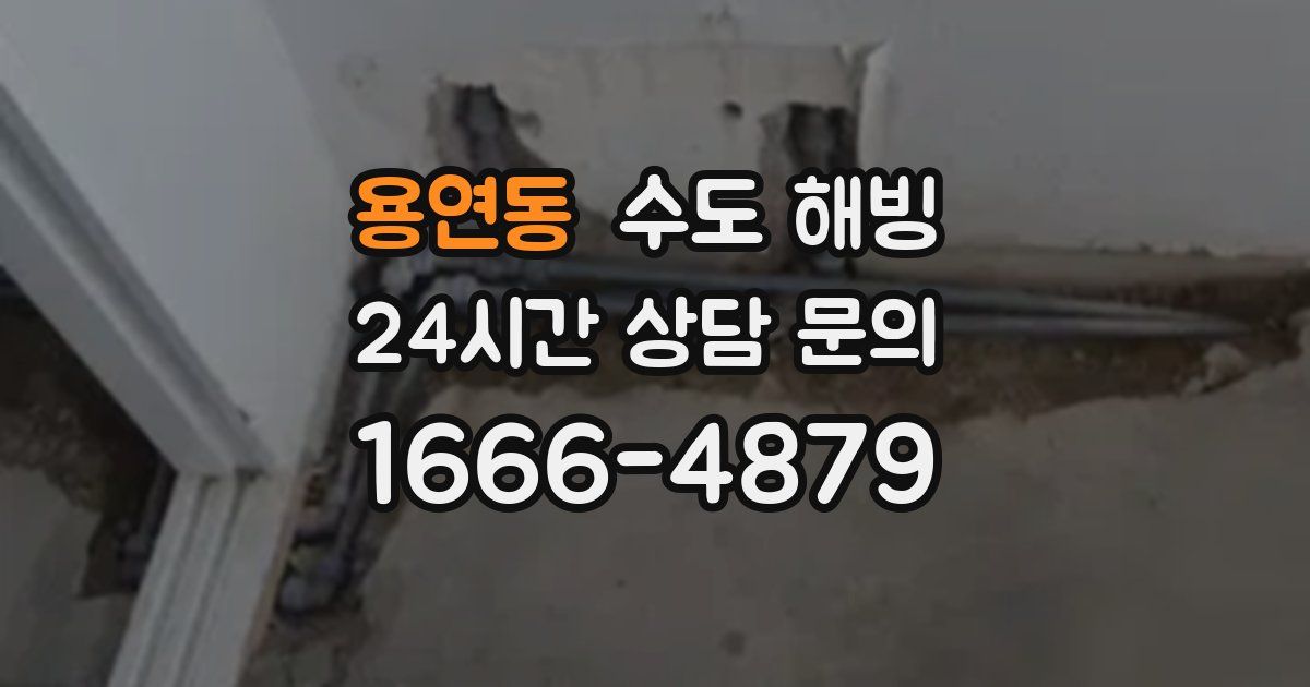 용연동 수도 해빙