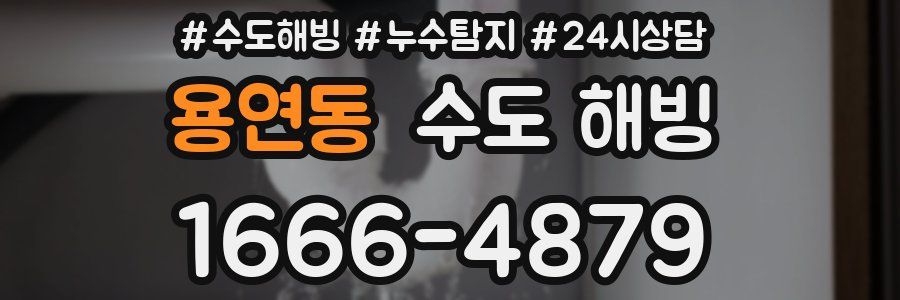 용연동 수도 해빙