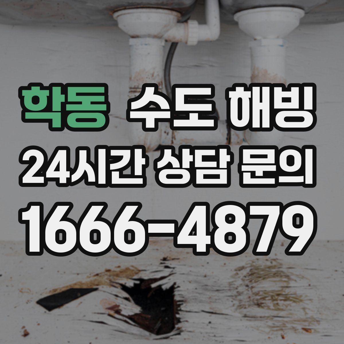 학동 수도 해빙 세면대만 안 나오면 어디가 얼었을까