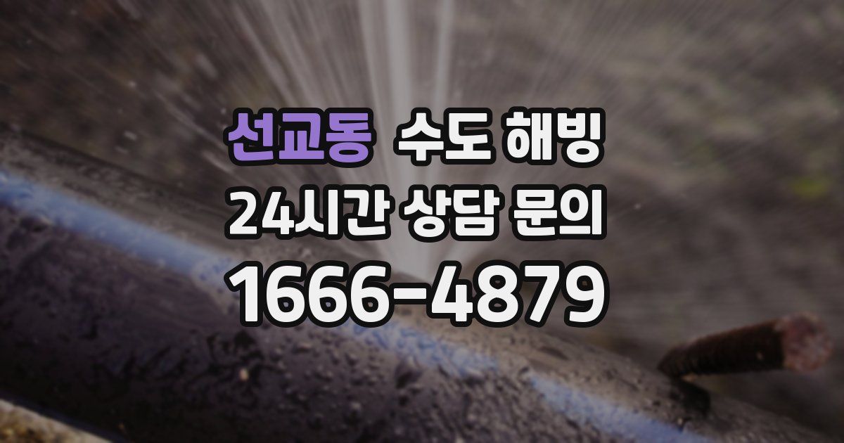 선교동 수도 해빙