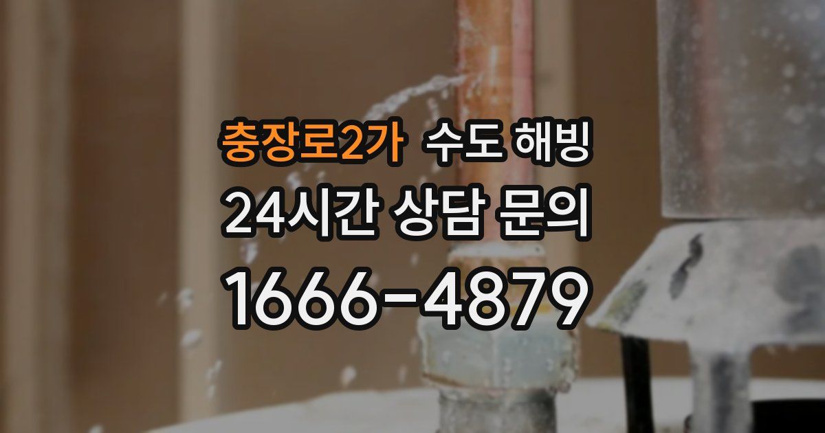 충장로2가 수도 해빙