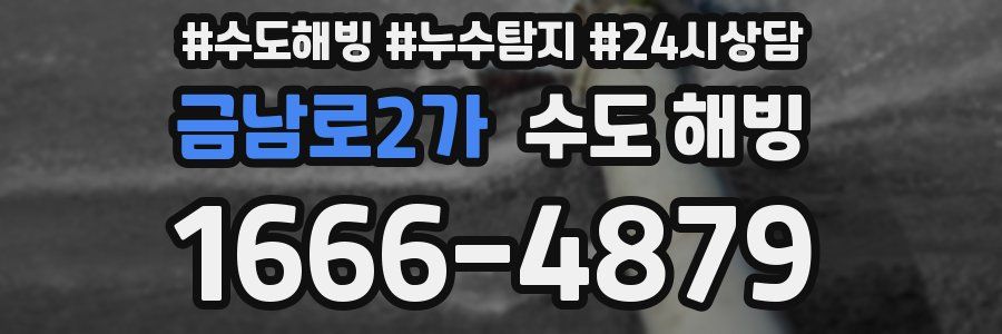 금남로2가 수도 해빙