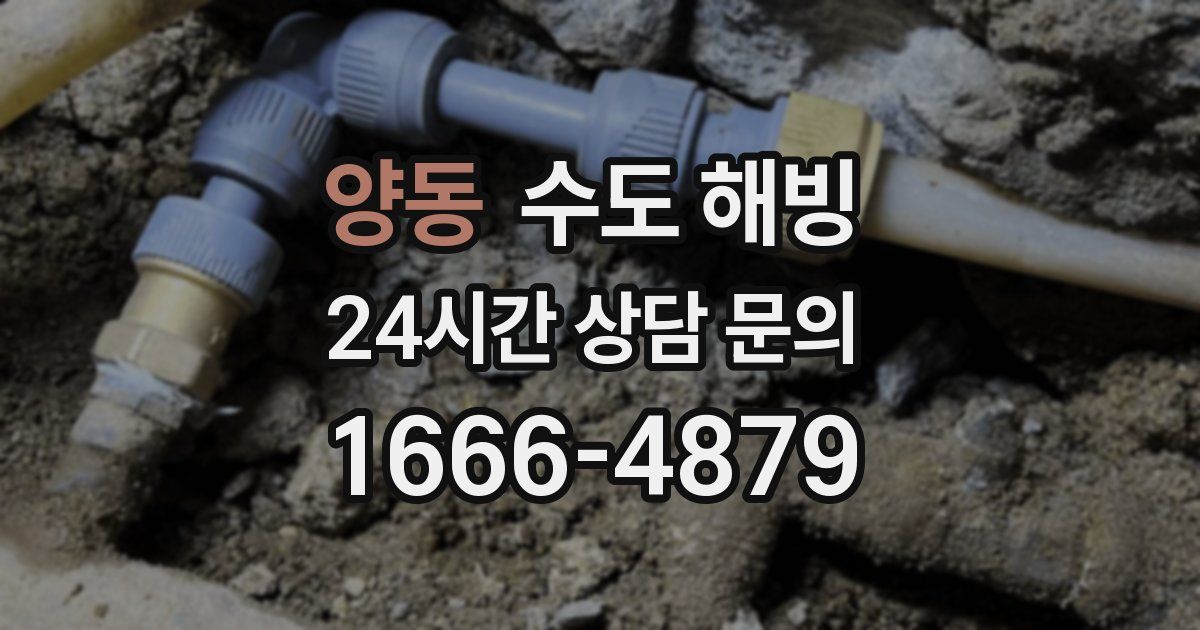 양동 수도 해빙