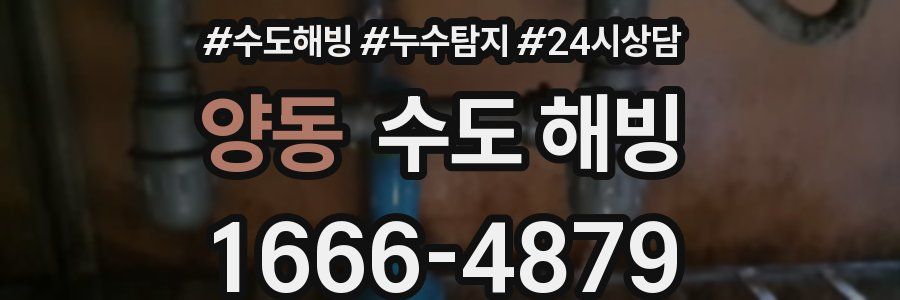 양동 수도 해빙