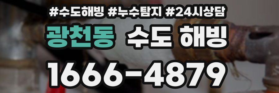 광천동 수도 해빙