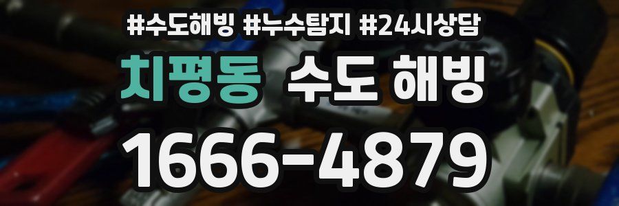 치평동 수도 해빙