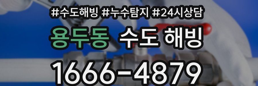 용두동 수도 해빙