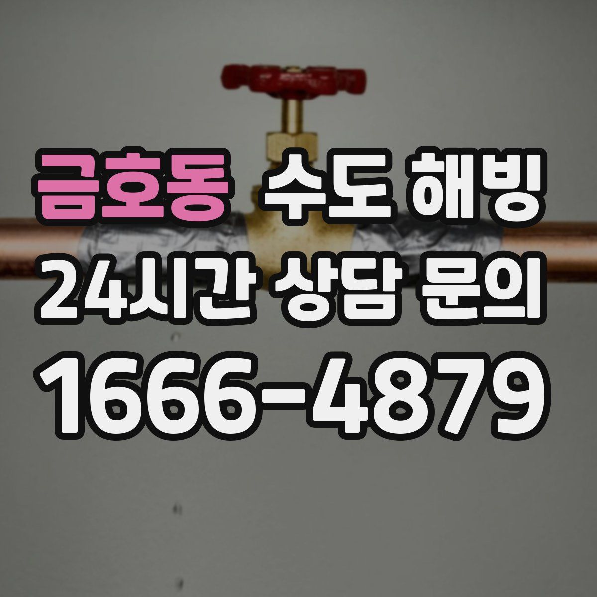 금호동 수도 해빙