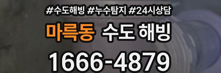 마륵동 수도 해빙