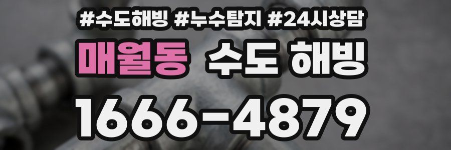 매월동 수도 해빙