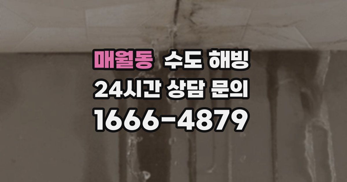 매월동 수도 해빙