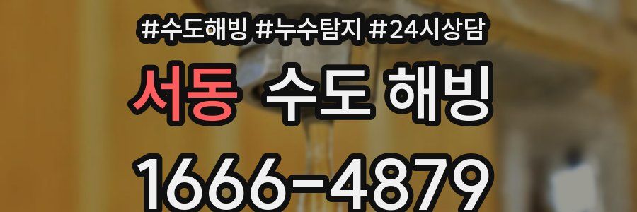 서동 수도 해빙