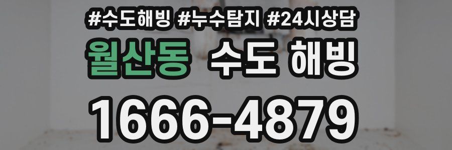 월산동 수도 해빙