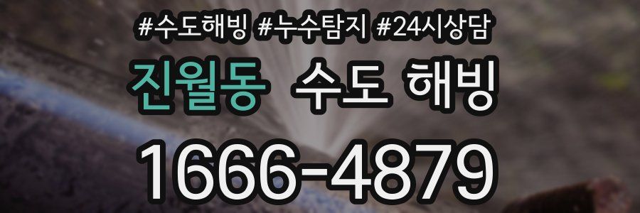 진월동 수도 해빙