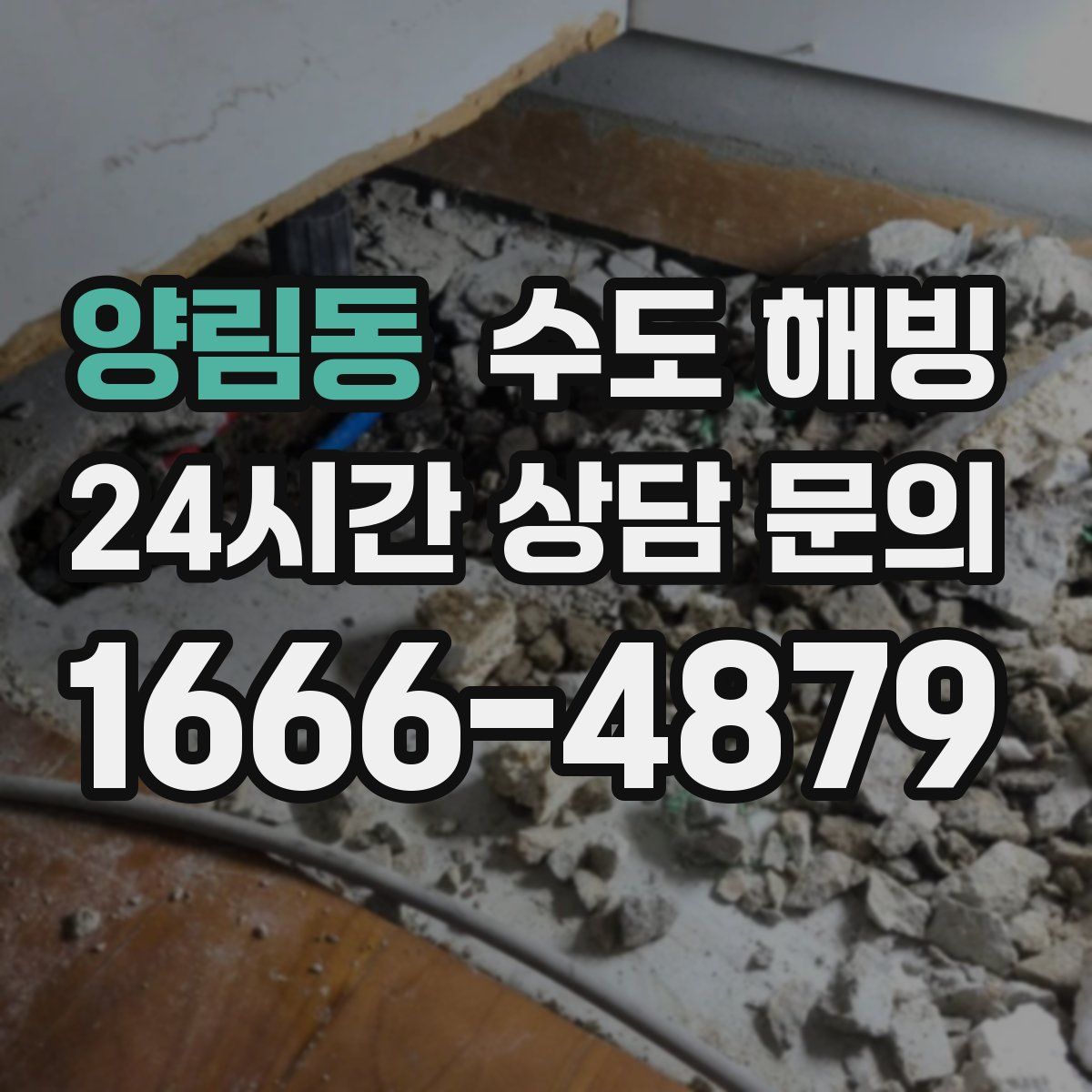 양림동 수도 해빙