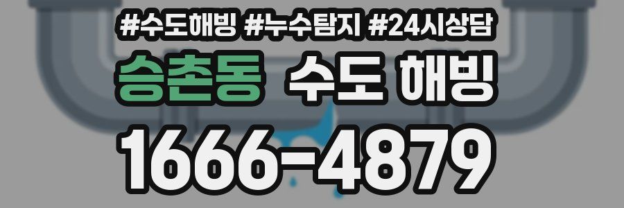 승촌동 수도 해빙