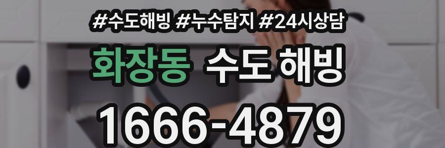 화장동 수도 해빙