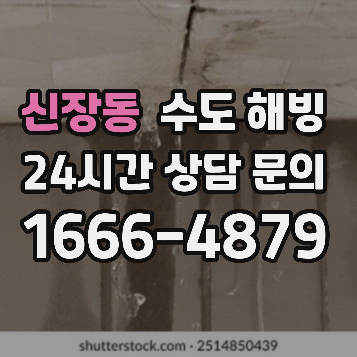 신장동 수도 해빙