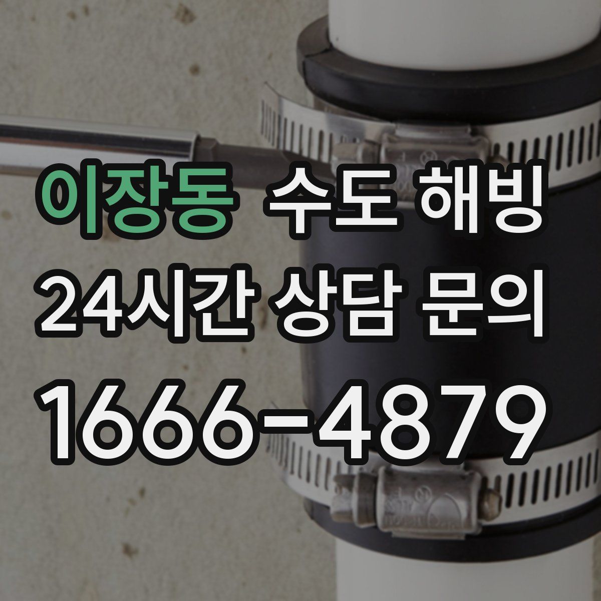 이장동 수도 해빙