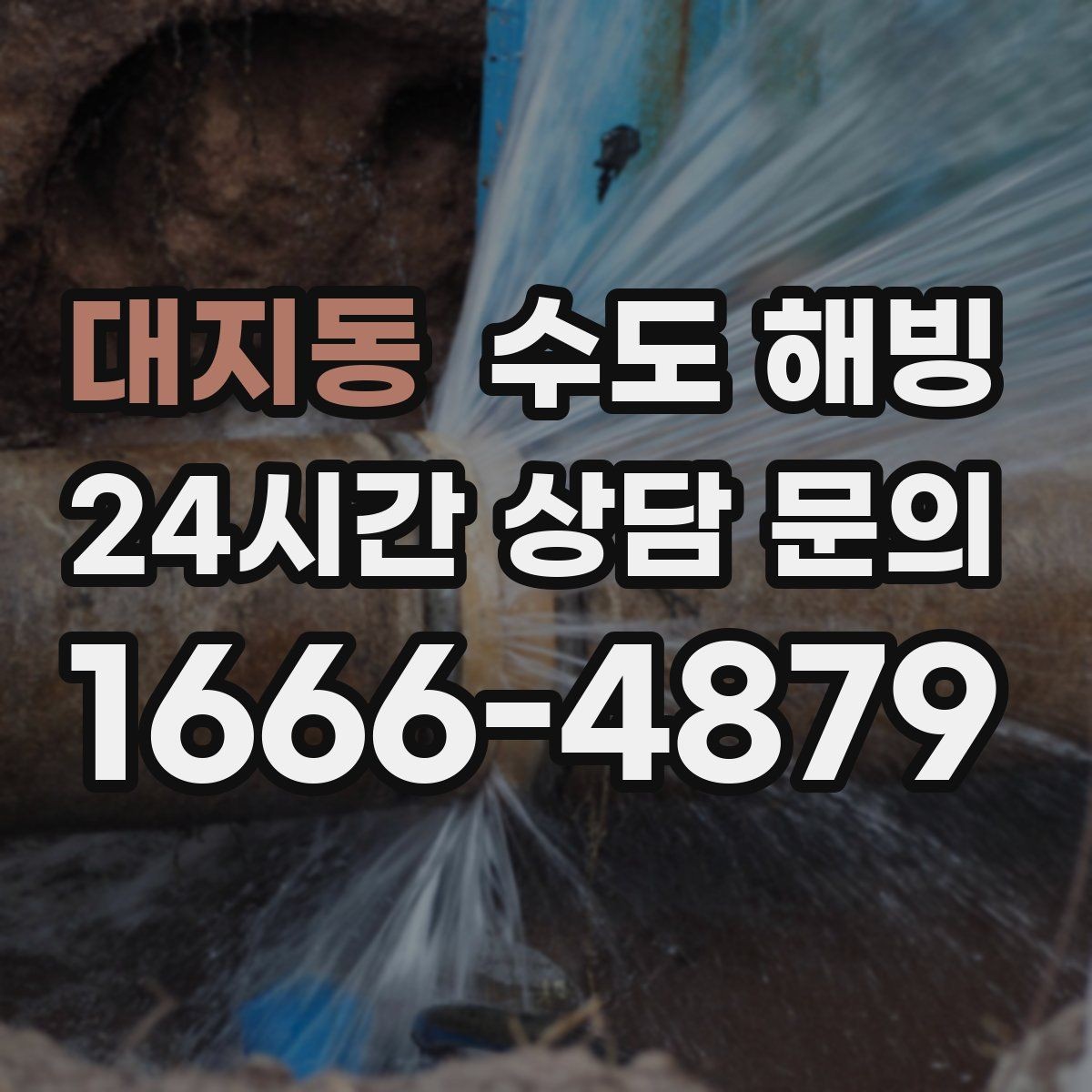 대지동 수도 해빙 상가 건물에서 여러 호실이 같이 안 나오면
