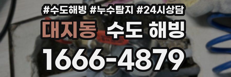 대지동 수도 해빙