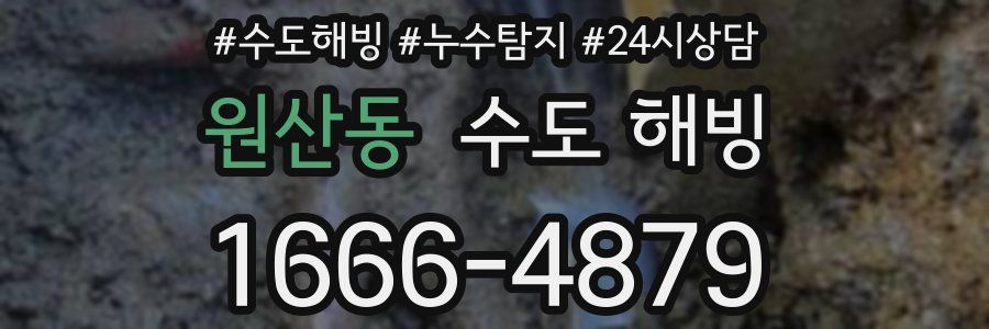 원산동 수도 해빙