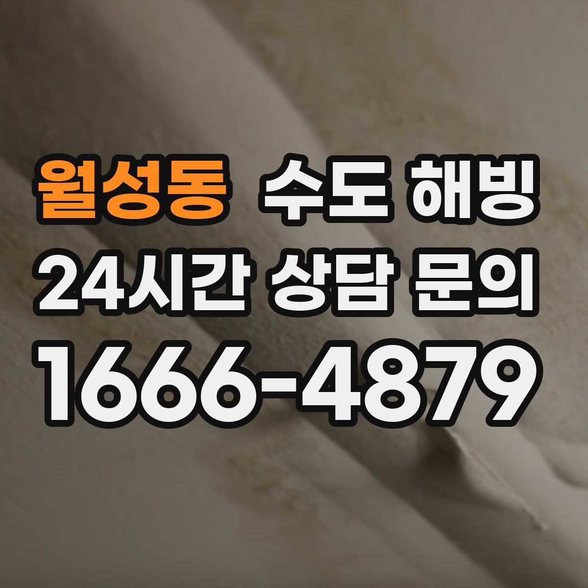 월성동 수도 해빙