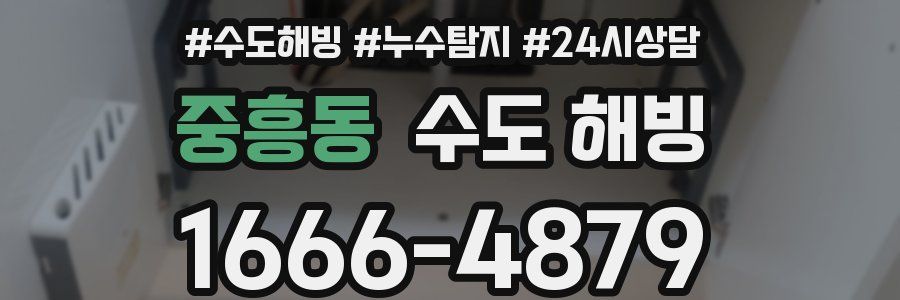 중흥동 수도 해빙