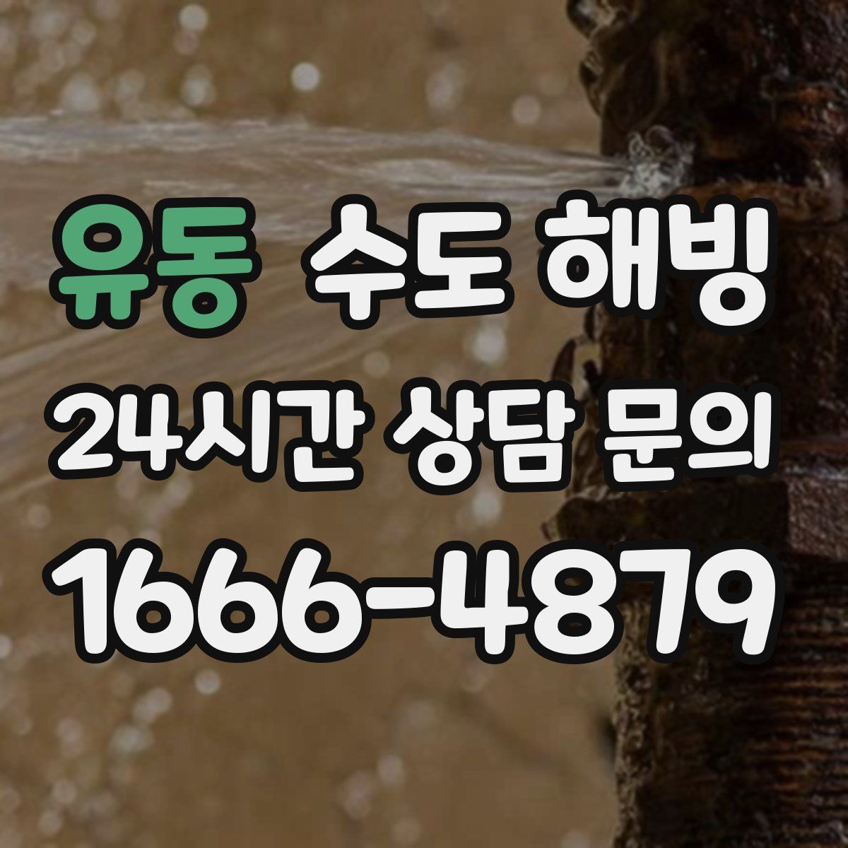 유동 수도 해빙