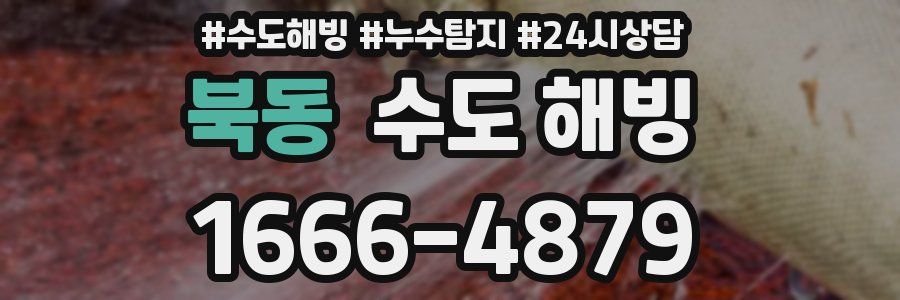 북동 수도 해빙