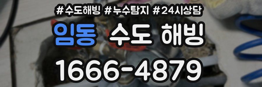 임동 수도 해빙