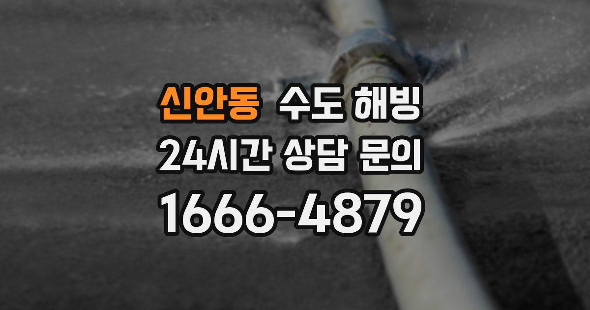 신안동 수도 해빙
