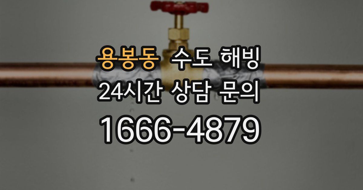 용봉동 수도 해빙