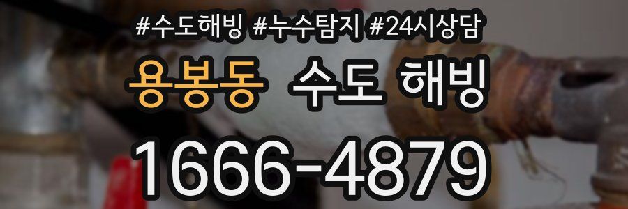 용봉동 수도 해빙