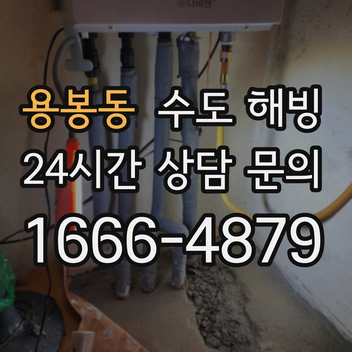 용봉동 수도 해빙