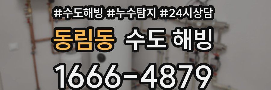 동림동 수도 해빙