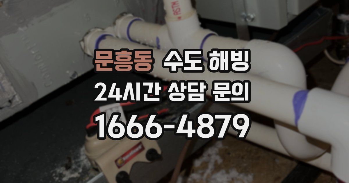 문흥동 수도 해빙