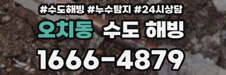 오치동 수도 해빙