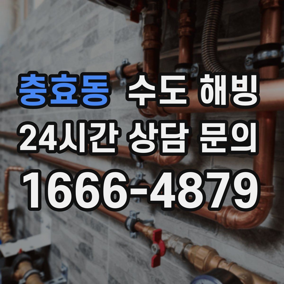 충효동 수도 해빙 주방만 물이 안 나오고 욕실은 정상이라면