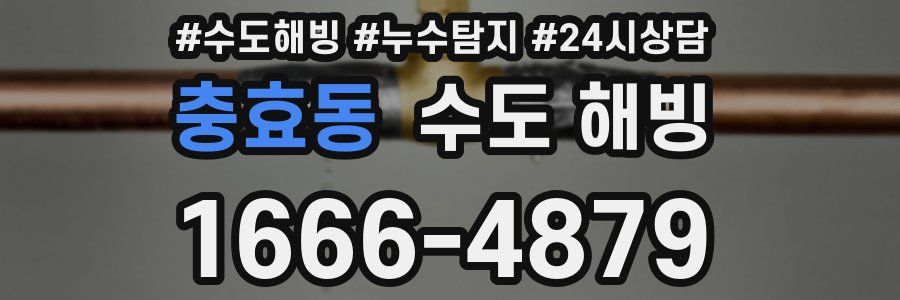 충효동 수도 해빙