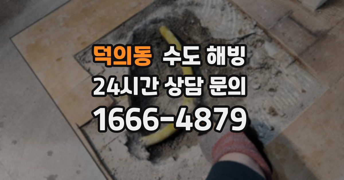 덕의동 수도 해빙