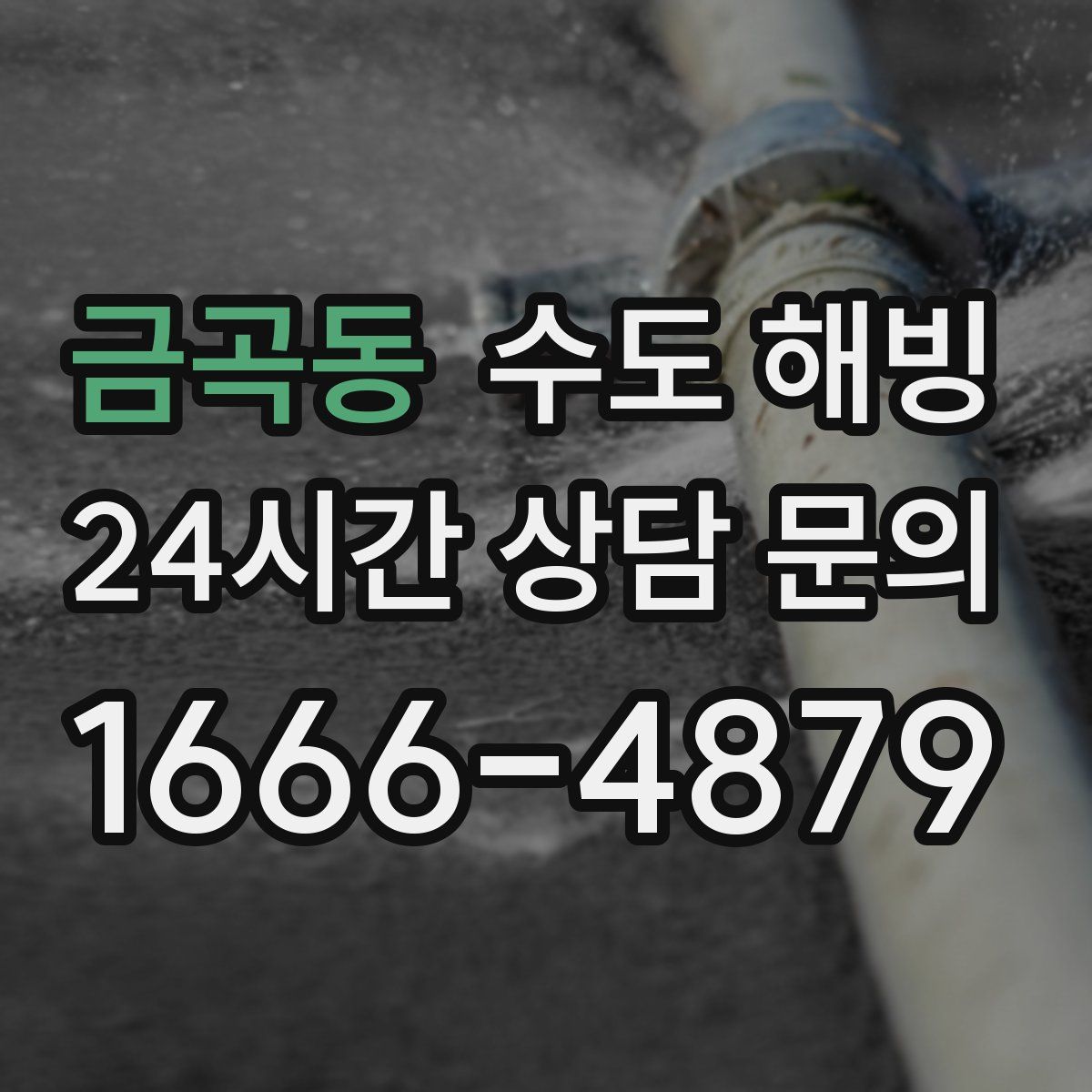 금곡동 수도 해빙