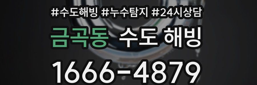 금곡동 수도 해빙