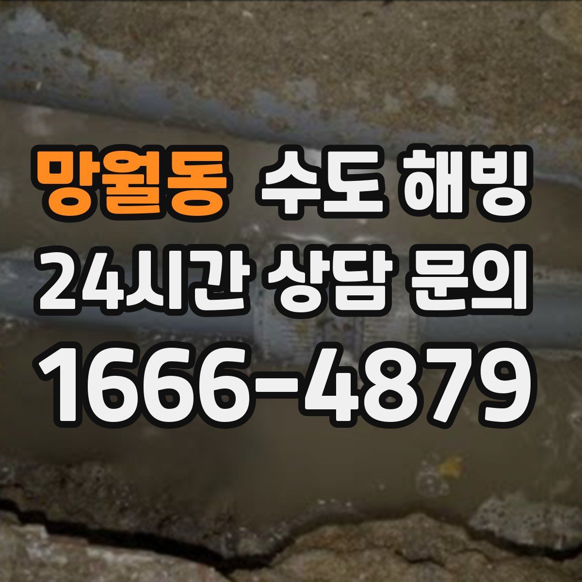 망월동 수도 해빙