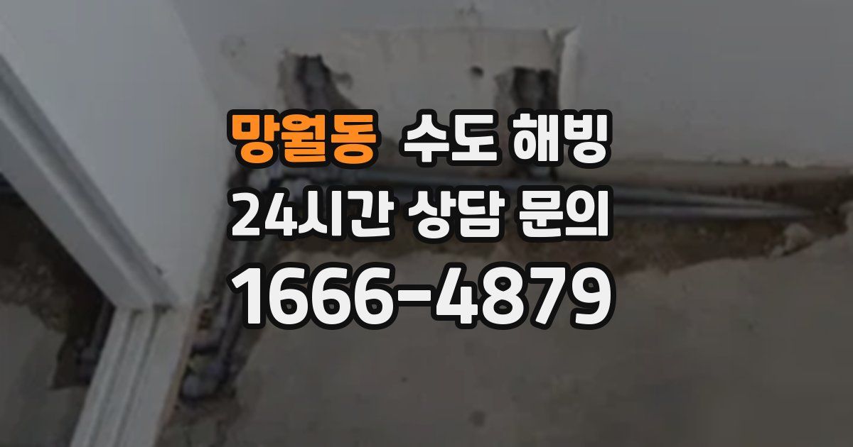 망월동 수도 해빙