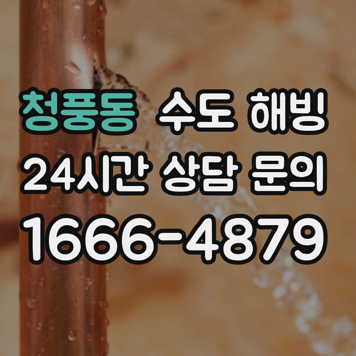 청풍동 수도 해빙